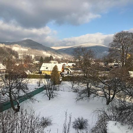 Mezonetovy Apartman Isabela Loučná nad Desnou Buitenkant foto