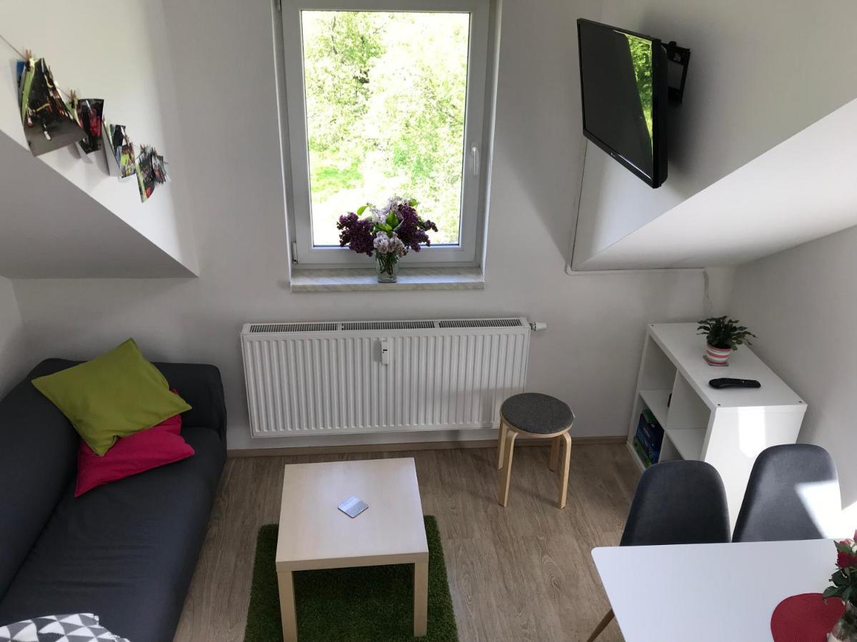 Mezonetovy Apartman Isabela Loučná nad Desnou Buitenkant foto