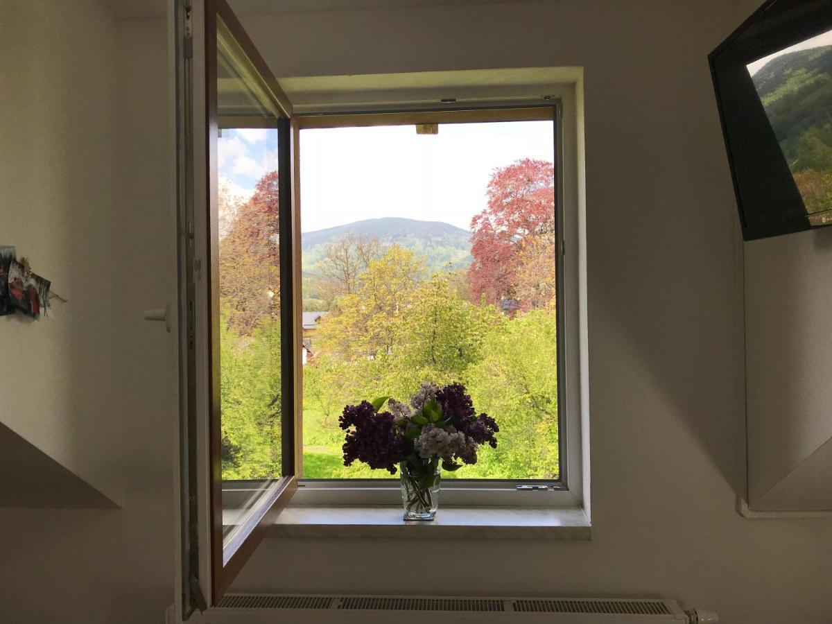 Mezonetovy Apartman Isabela Loučná nad Desnou Buitenkant foto