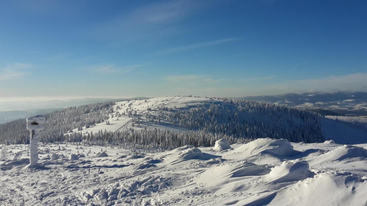 Mezonetovy Apartman Isabela Loučná nad Desnou Buitenkant foto